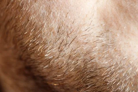Macro view of light human hair on warm-toned skin Stock Photos