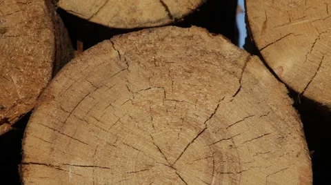 Macro view of the logs, lying in piles. 2013 Stock Footage 49109675