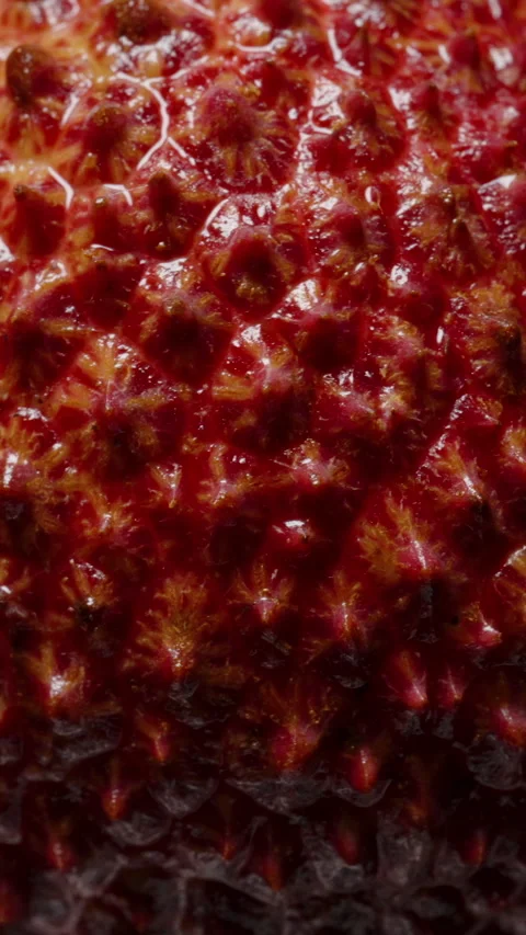 Macro View of Lychee Peel with Bright Red Spiky Skin and Glossy Highlights Video stock 309930144