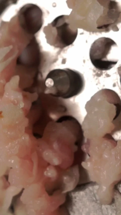 Macro view of meat grinder processing raw meat pieces 스톡 동영상 346774153