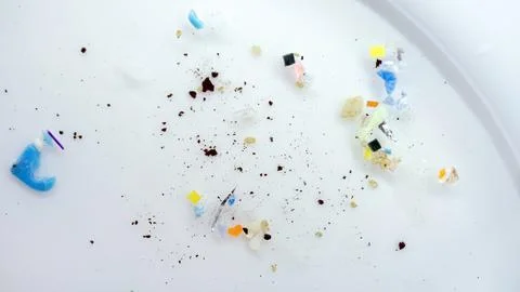 Macro view of microplastic pieces scattered on a Petri dish Stock Photos
