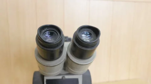 Macro View Of Microscope In Laboratory Stock Footage 257201515