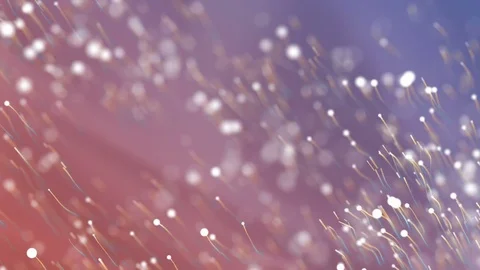 Macro view of mold, 3d concept. Stock Footage 73446245