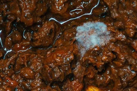 Macro View Of Mold Growing On Leftover Brown Meat Stew Dish Showing Spoilage Stock Photos