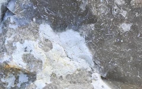 Macro view of natural cut marble interior stone with two different colors  Stock Photos