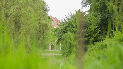 Macro view of nature Stock Footage 72642015