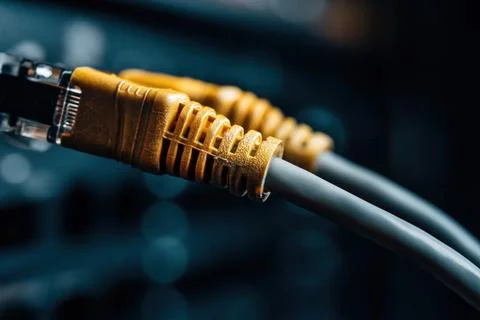 Macro view of network cables 스톡 사진