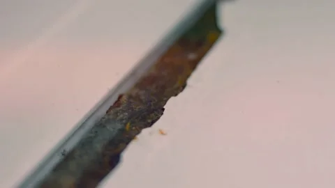 Macro view of an old rusty washing machine in the interior. Rust problem Stock Footage 146209914