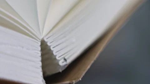 Macro view of an open book. Knowledge concept. Stock Footage 105654246
