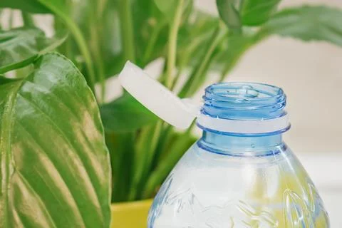 Macro view of an open clear blue plastic bottle showing attached white teth.. Stock Photos