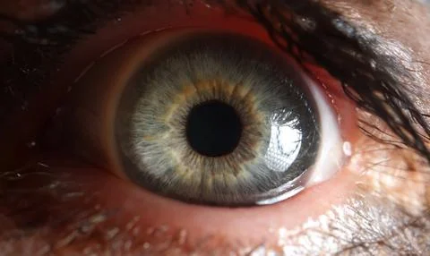 Macro view of open human eye, small pupil Stock Photos