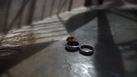 Macro View of Pair of Gold Wedding Bands and Engagement Ring Stock Footage 341005672