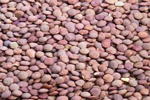 Macro view of pink lentil pattern, highdetail surface, scattered seeds creati Stockfoto's