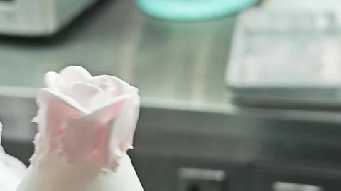 Macro view of piping intricate pink buttercream rose petals. Vidéo 344744975
