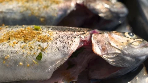 Macro view: Preparing and grilling fresh and delicious trout fish. HD 動画素材 104061993