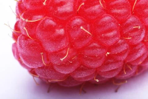 Macro view of a raspberry Stock-Fotos