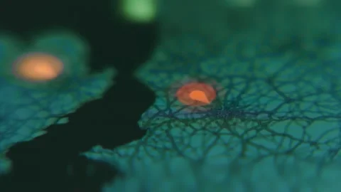 Macro view of real-time cyber attacks digital world map Stock-Footage 279727161
