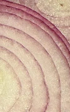 Macro View of Red Onion Rings Layered Texture Abstract Background Close-Up .. Stock Photos