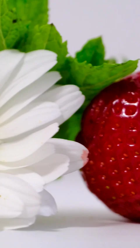 Macro view of ripe strawberry beside white daisy on bright background showing Stock Footage 344894170