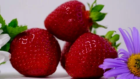 Macro view of ripe strawberry beside white daisy on bright background showing Stock Footage 344894463