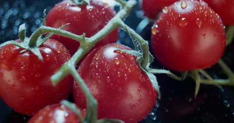 Macro view of ripe tomatoes on branch, dark background, for ads and packshot Stock Footage 134691839