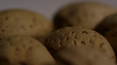 Macro view of rough brown almond shells in pile Stock Footage 328143944