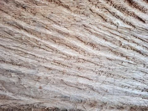 Macro view of rough saw cut wooden surface displaying fibrous grain lines. Stock Photos