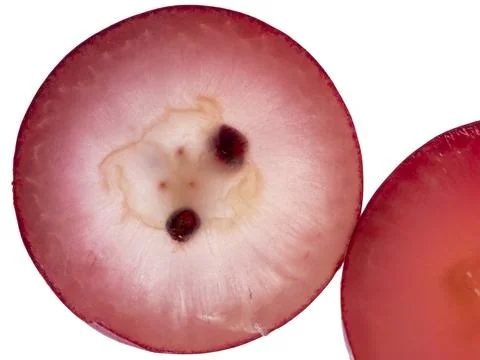 Macro view of round grape cross-section showing seed core Stock Photos