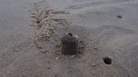 Macro View of Sand Crab Hole and Fresh Sand Pellets on Tropical Beach Surface, C Stock Footage 335222236