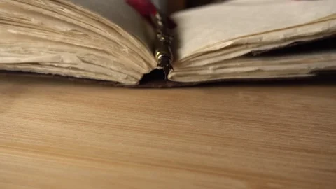 Macro View of Saved Medieval Books Stock Footage 331466919
