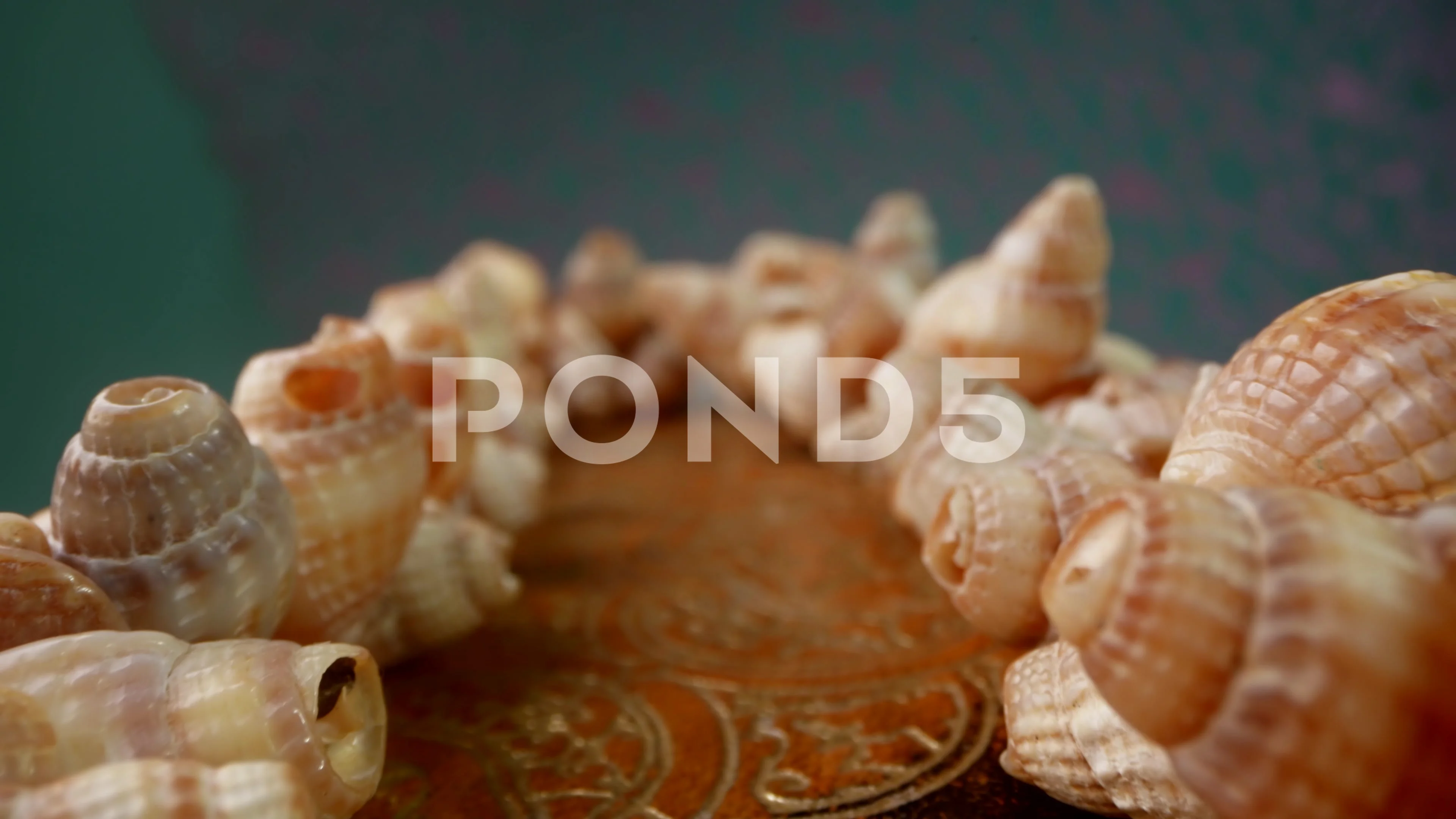 Nabalik Xxx Video - Jewellery Box Stock Footage ~ Royalty Free Stock Videos | Pond5