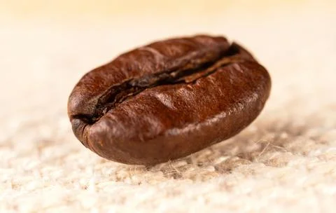 Macro view of single coffee bean. 스톡 사진