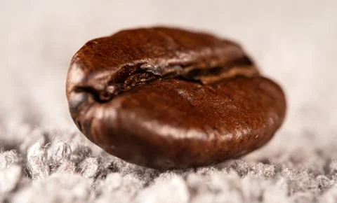 Macro view of single coffee bean. Stock Photos