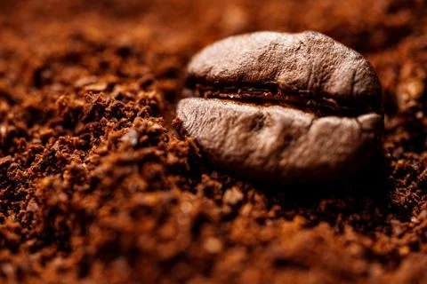Macro view of single coffee bean and ground coffee. 스톡 사진