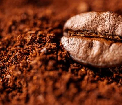 Macro view of single coffee bean and ground coffee. 库存照片