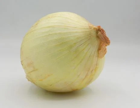 Macro view of a single white onion showing detailed layers and light brown stem Stock Photos