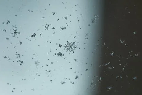 Macro view of snowflakes on bright surface Stock Photos