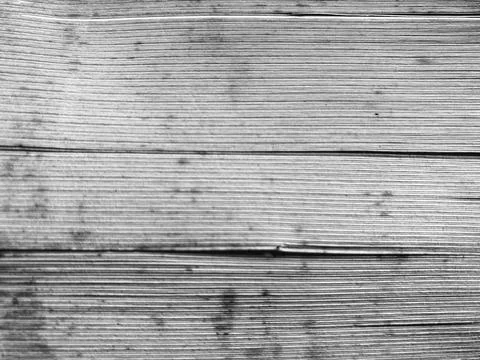 Macro View of Stacked Old Book Pages Texture in Black and White Stock Photos