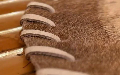 Macro view of stitched leather edge with fur texture detail Stock Photos
