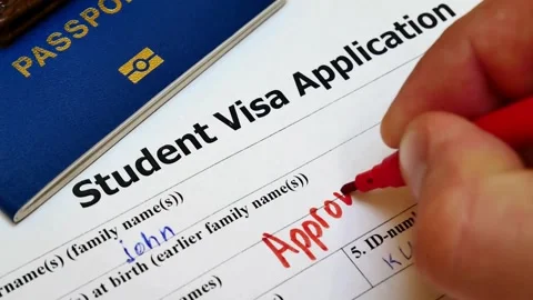Macro view of student visa application getting approved with red marker Stock Footage 332725698
