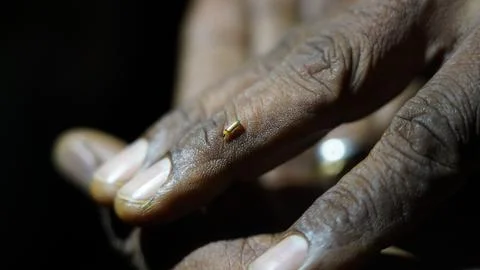 Macro view of a tiny glowing insect on a persons hand Stock Photos