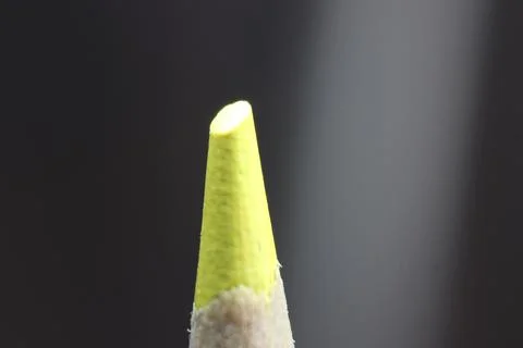 Macro view of the tip of the pencil on a black background. Stock Photos