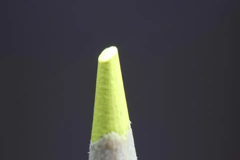 Macro view of the tip of the pencil on a black background. Stock Photos
