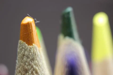 Macro view of the tip of the pencil on a black background. Stock Photos