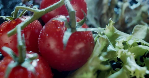 Macro view of tomatoes and salad leaves on dark background Stock Footage 133247386