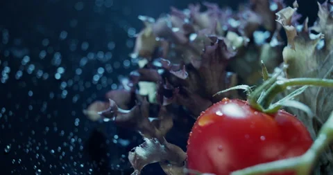 Macro view of tomatoes and salad leaves on dark background, for ads and packshot Stock Footage 133248236