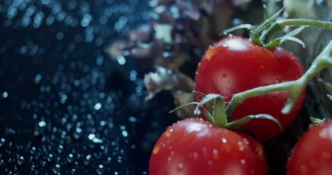 Macro view of tomatoes and salad leaves on dark background, for ads and packshot Stock Footage 133589091