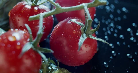 Macro view of tomatoes and salad leaves on dark background, for ads and packshot Stock Footage 133911632