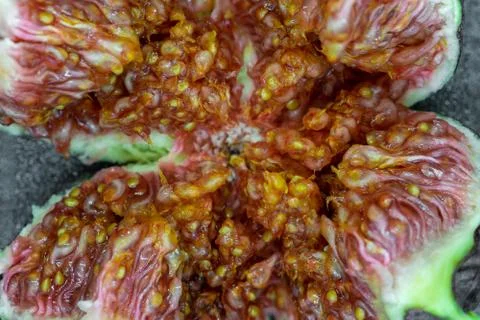 Macro view of torn common fig fruit Stock Photos