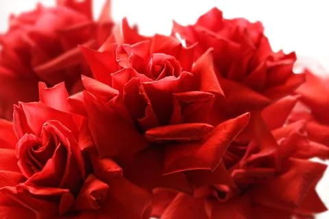 Macro view of vivid red rose petals clustered together, creating a rich flo.. 库存照片